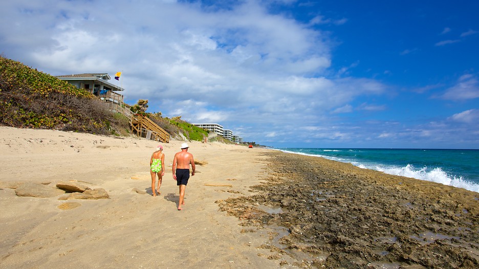 Phipps Ocean Park in Palm Beach, Florida Expedia