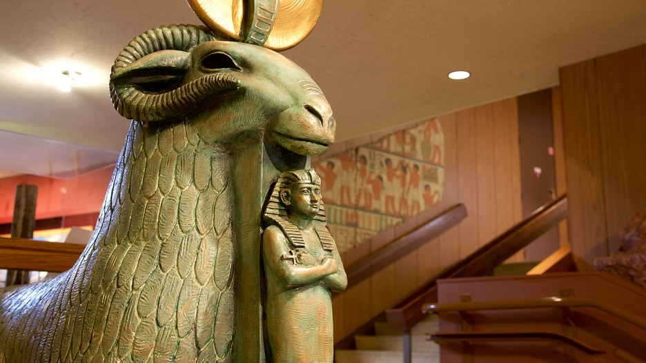 Rosicrucian egyptian museum coupons