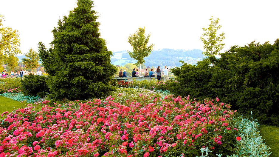 Bern Rose Garden in Bern, Expedia