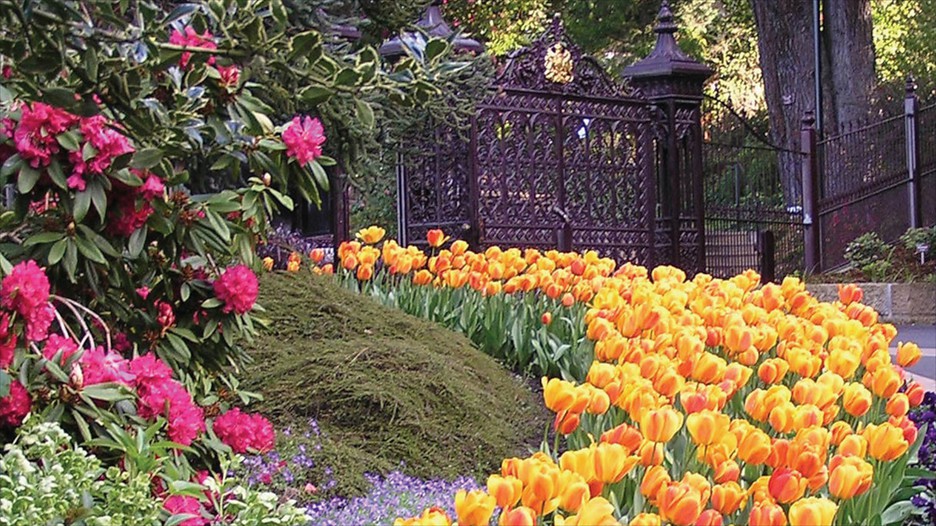 Royal Tasmanian Botanical Gardens in Hobart, Tasmania Expedia