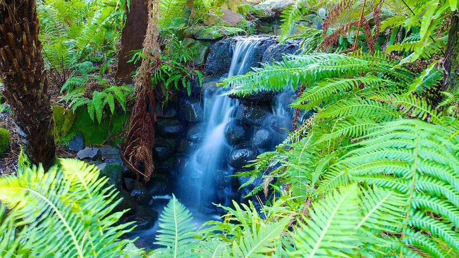 Royal Tasmanian Botanical Gardens in Hobart, Tasmania Expedia
