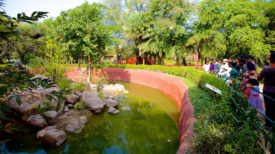 Nehru Zoological Park in Hyderabad, Telangana Expedia