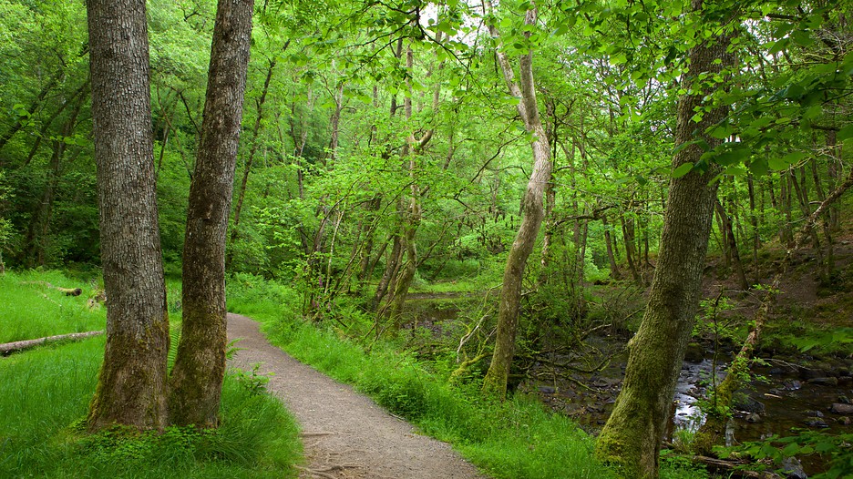 Hotels Near The Brecon Beacons Hotels Near The Brecon Beacons