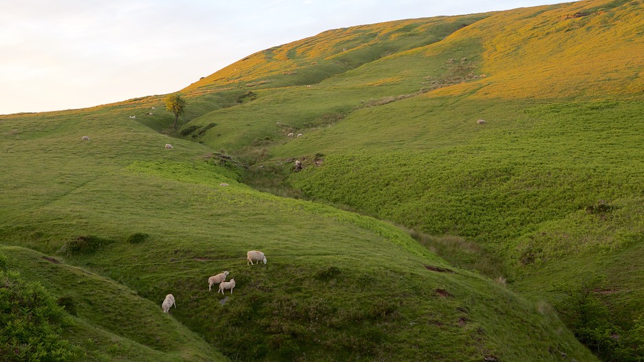 Hotels In Brecon Beacons National Park Hotels In Brecon Beacons National Park