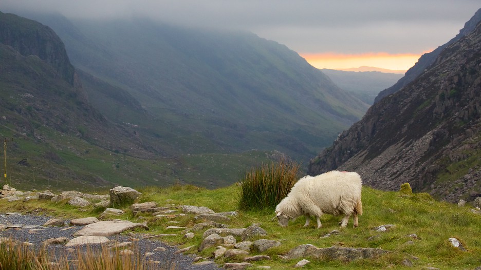 Cheap Hotels In Snowdonia Cheap Hotels In Snowdonia