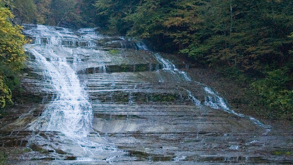Hotels Close To Ithaca College Hotels Close To Ithaca College