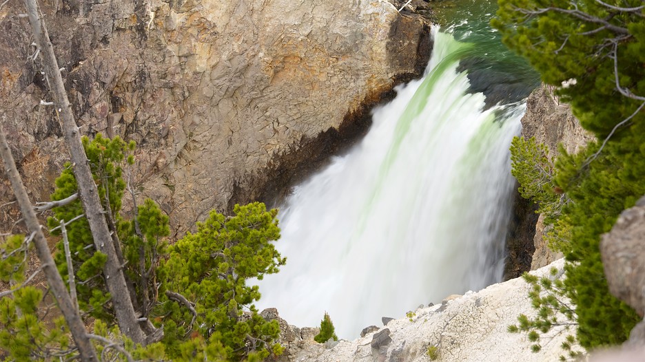Best deals yellowstone national park
