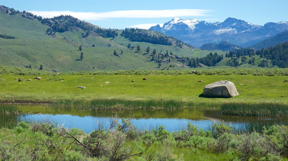 Best deals yellowstone national park