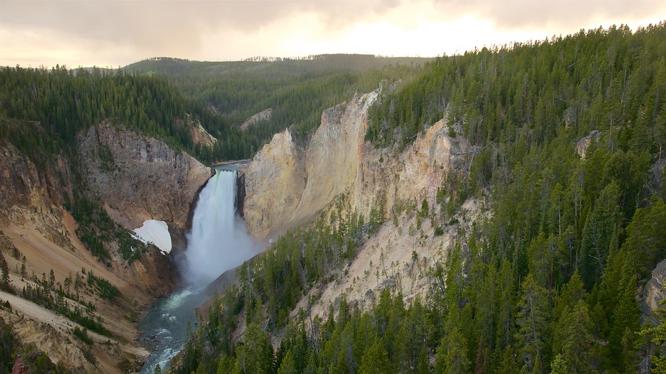 The Best Yellowstone National Park Vacation Packages 2017 Save Up to