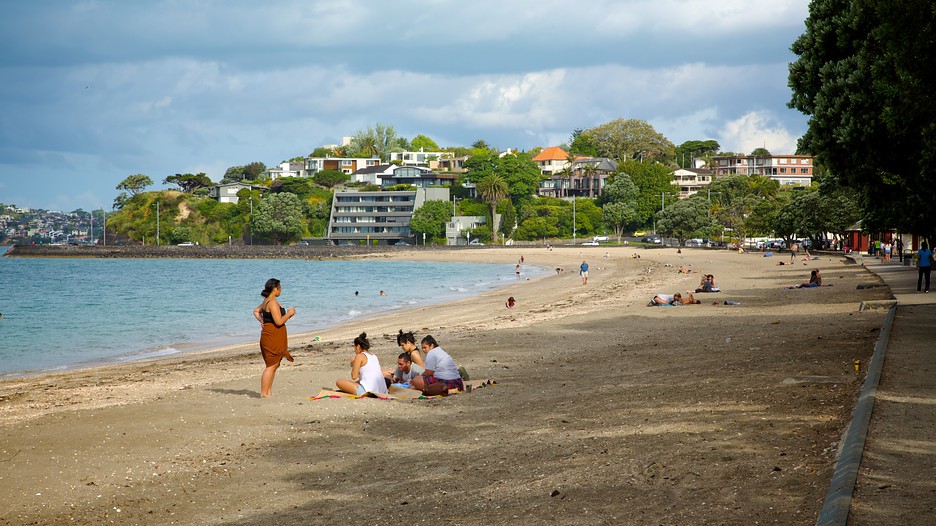 travel guides zealand tips auckland travel guides zealand tips auckland