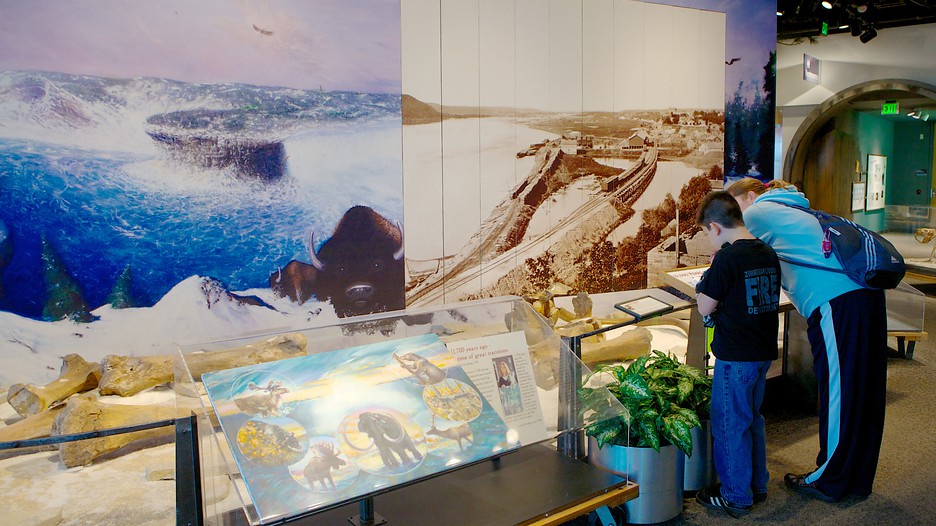 Science Museum of Minnesota Información de Science Museum of Minnesota