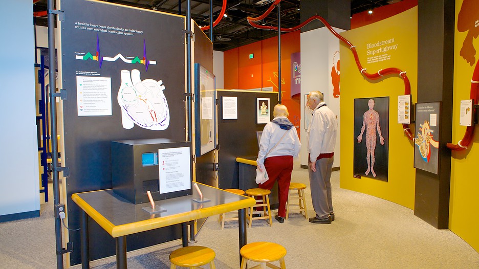 Science Museum of Minnesota Información de Science Museum of Minnesota