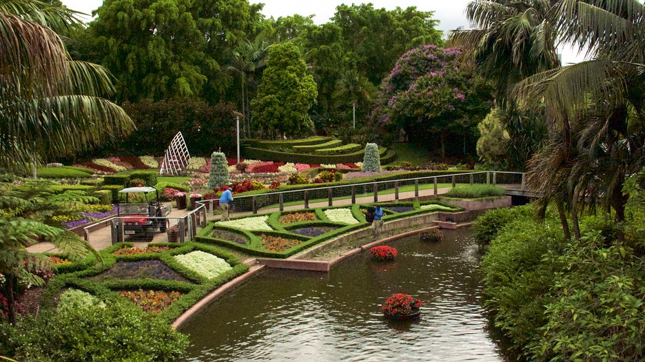 Roma Street Parkland in Brisbane, Queensland Expedia Roma Street Parkland in Brisbane, Queensland Expedia
