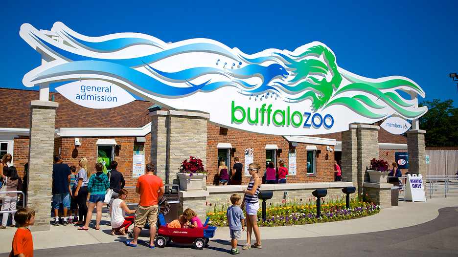 Buffalo Zoo in Buffalo, New York Expedia
