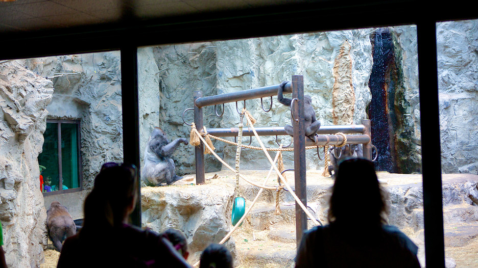 Buffalo Zoo in Buffalo, New York Expedia