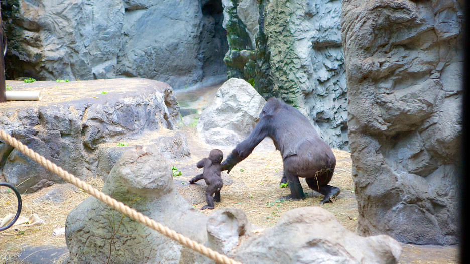 Buffalo Zoo in Buffalo, New York | Expedia