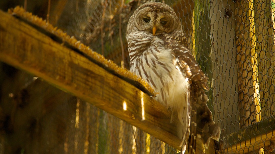 Flamingo Gardens in Davie, Florida | Expedia