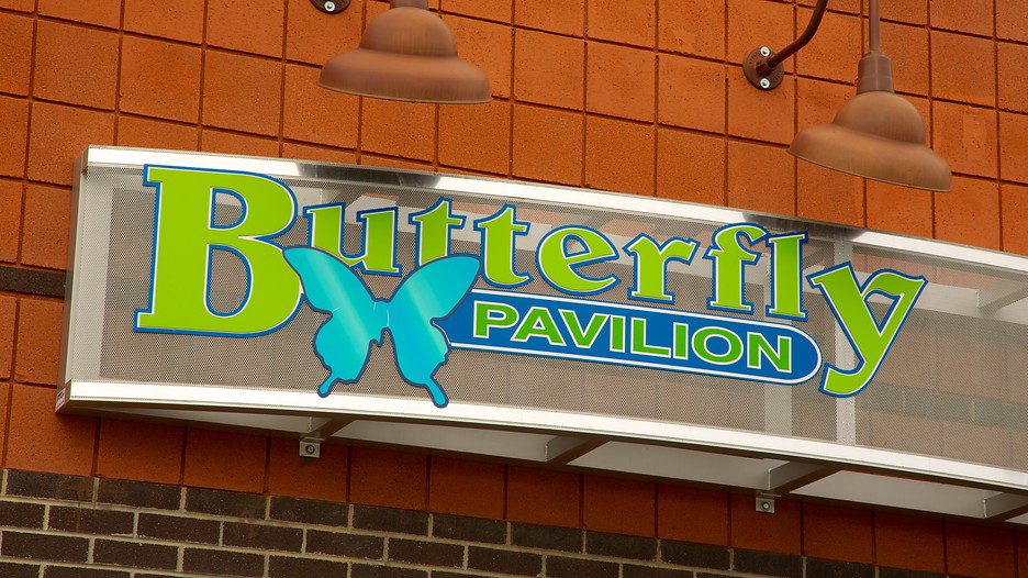 Butterfly Pavilion in Denver, Colorado Expedia.ca