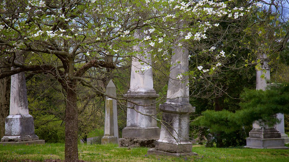 Spring Grove Cemetery in Cincinnati, Ohio Expedia