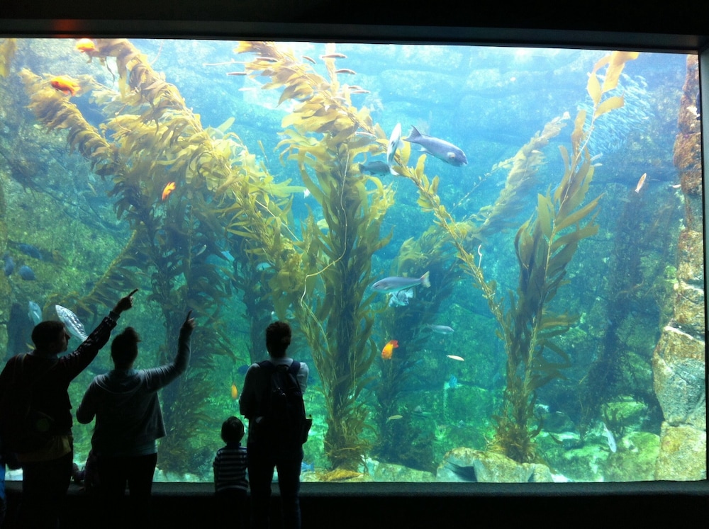 Point of interest, La Jolla Cove Suites