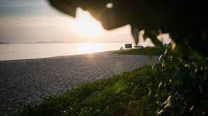 在海滩、海滨酒吧