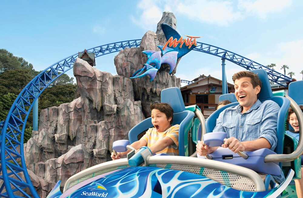 Seaworld san diego. An interesting holiday. картинки путешествие по миру. An interesting holiday. куала лумпур банджи джампинг.