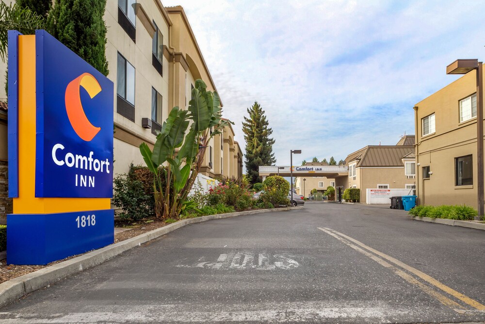 Comfort Inn Redwood City In San Francisco Hotel Rates Reviews