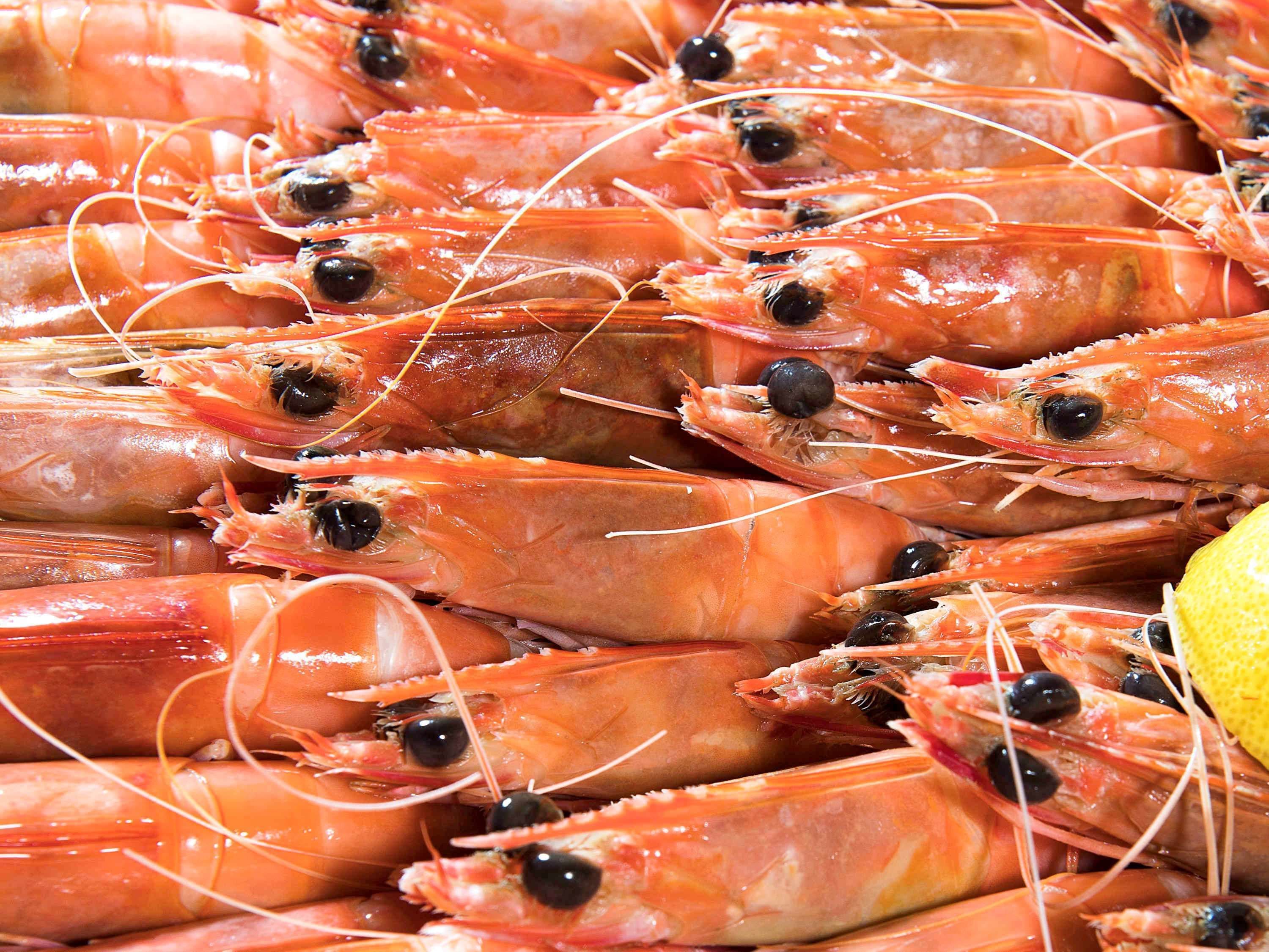 Novotel Surfers Paradise