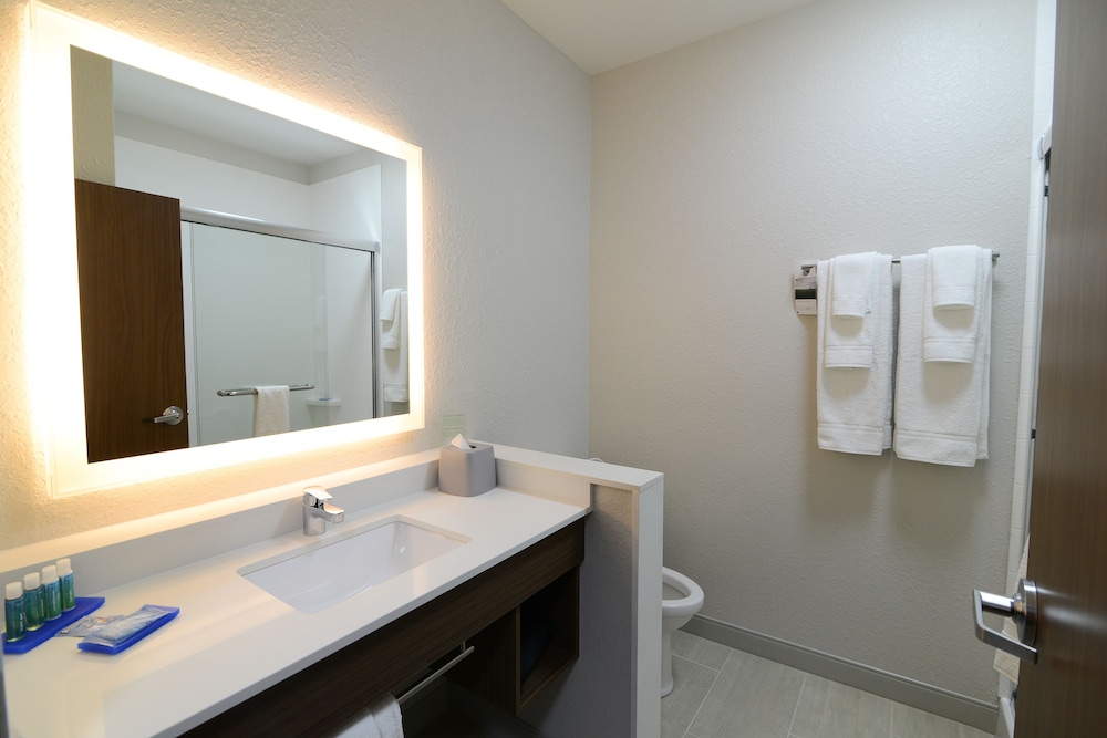 Bathroom, Holiday Inn Express & Suites Chicago North Shore - Niles, an IHG Hotel