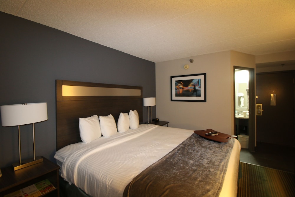 Best Western O'Hare/Elk Grove Hotel