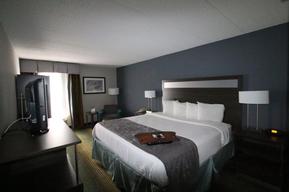 Best Western O'Hare/Elk Grove Hotel