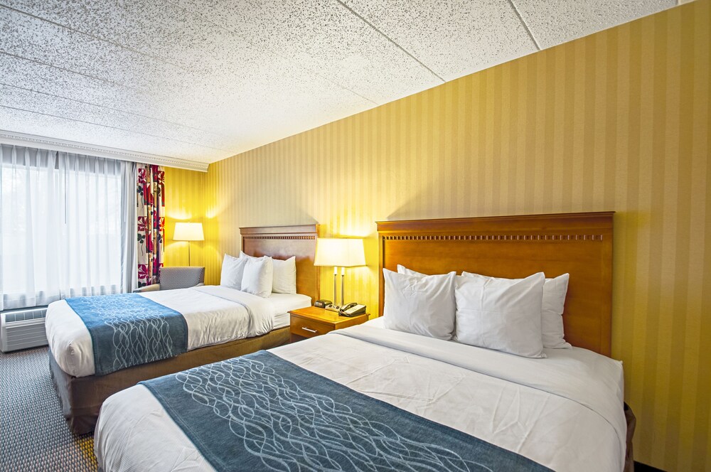 阿林頓大道凱富酒店 Comfort Inn Arlington Boulevard 福爾斯徹奇