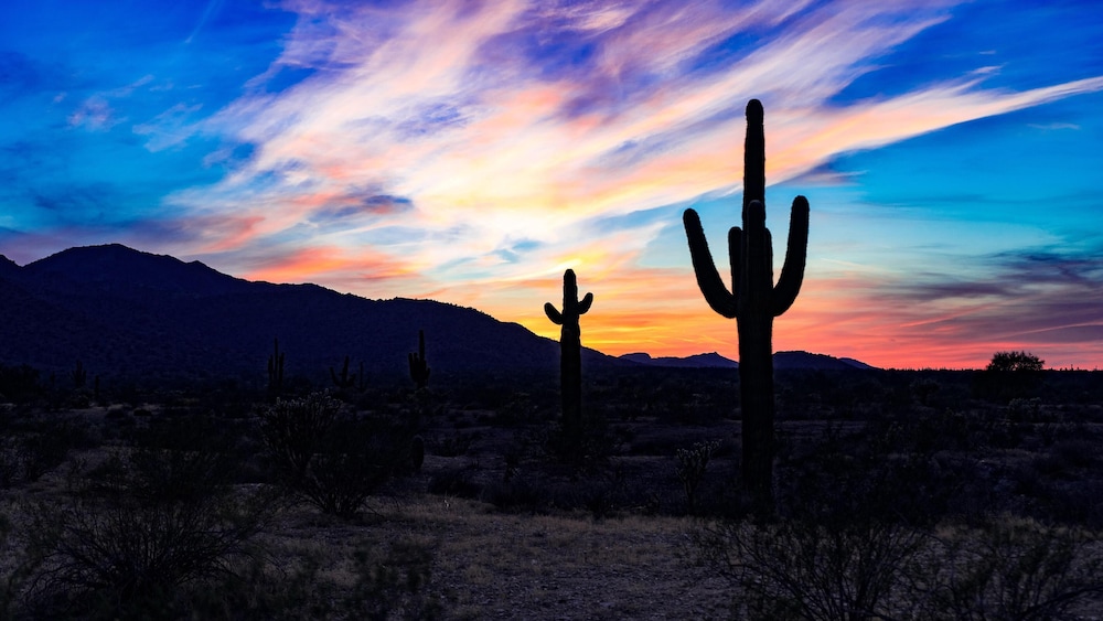 Arizona Grand Resort & Spa