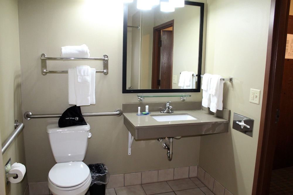 Bathroom, Best Western Delta Inn