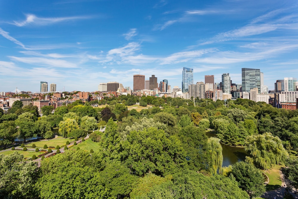 City view from property, The Newbury Boston