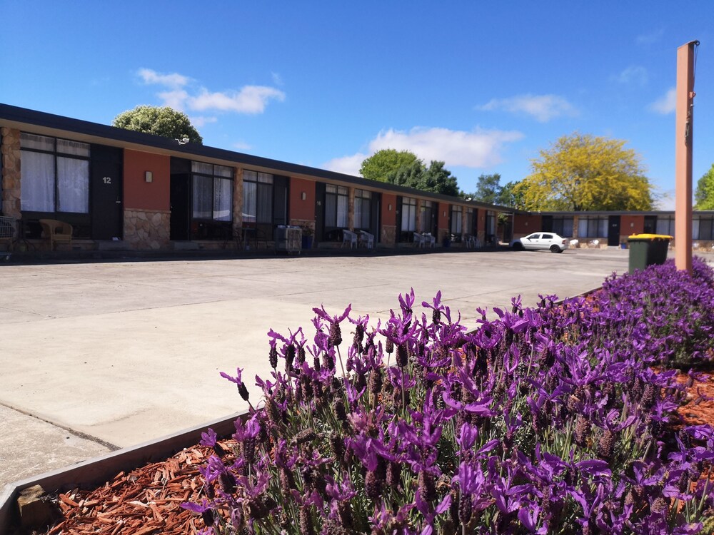 Front of property, Avenue Motel