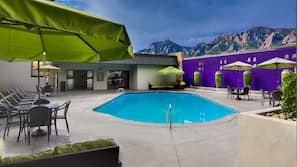 Outdoor pool, pool umbrellas, pool loungers