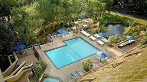 Seasonal outdoor pool, pool umbrellas, sun loungers