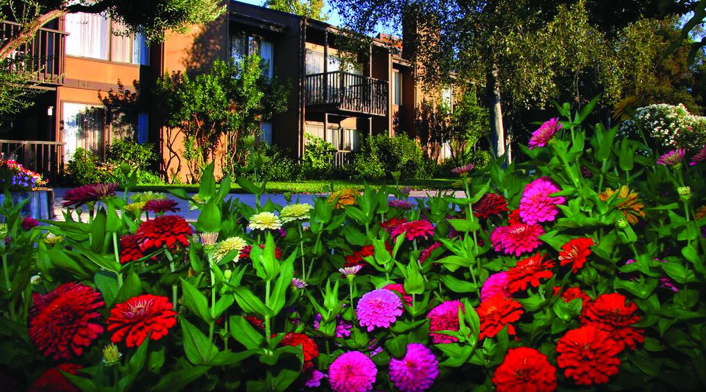 San Diego Country Estates in Ramona, United States