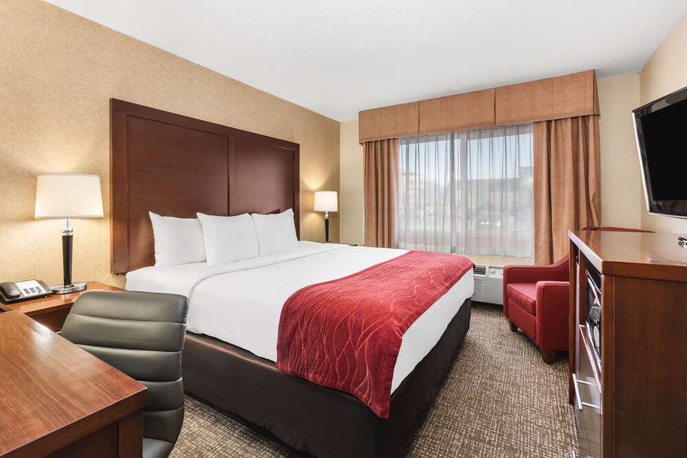 Comfort Inn & Suites Vancouver Downtown City Center