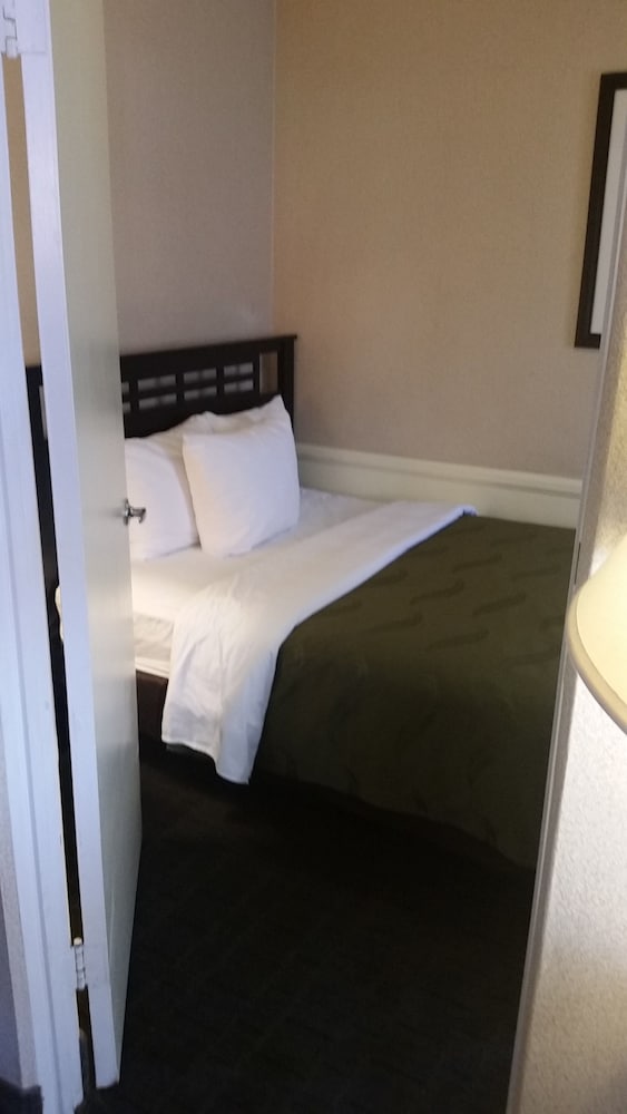 Room, Quality Inn & Suites Anaheim At The Park