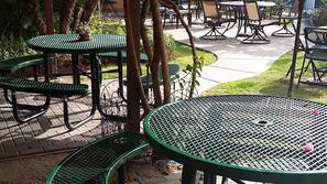 Terras