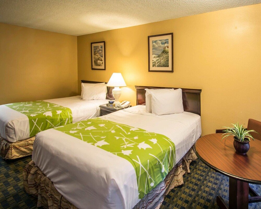 Rooms To Go Orlando Kissimmee Rooms To Go Orlando Kissimmee
