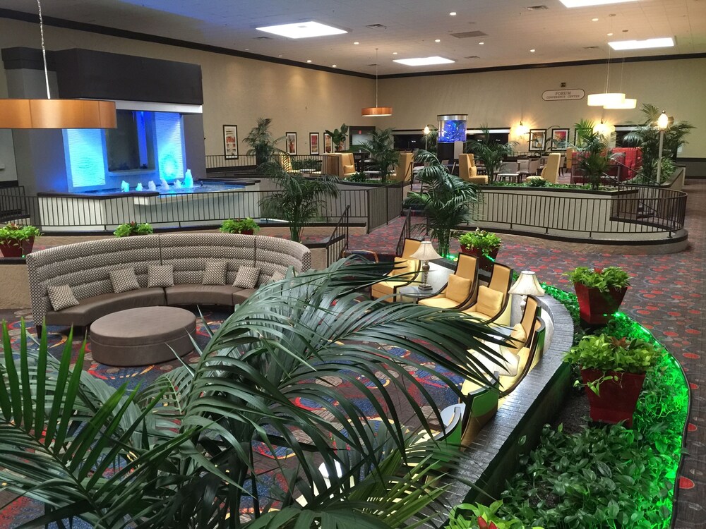 Family Adventure Best FamilyFriendly Hotels in Corpus Christi, Texas