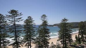 Beach nearby, white sand