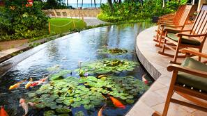 2 outdoor pools, open 8:00 AM to 8:00 PM, cabanas (surcharge)