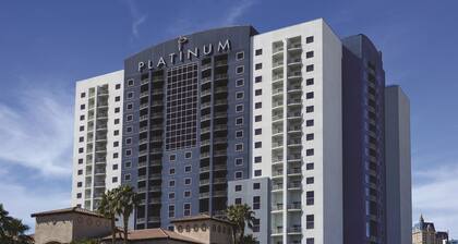 The Platinum Hotel