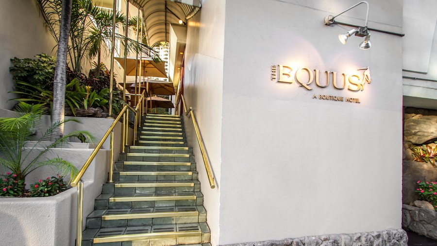 The Equus