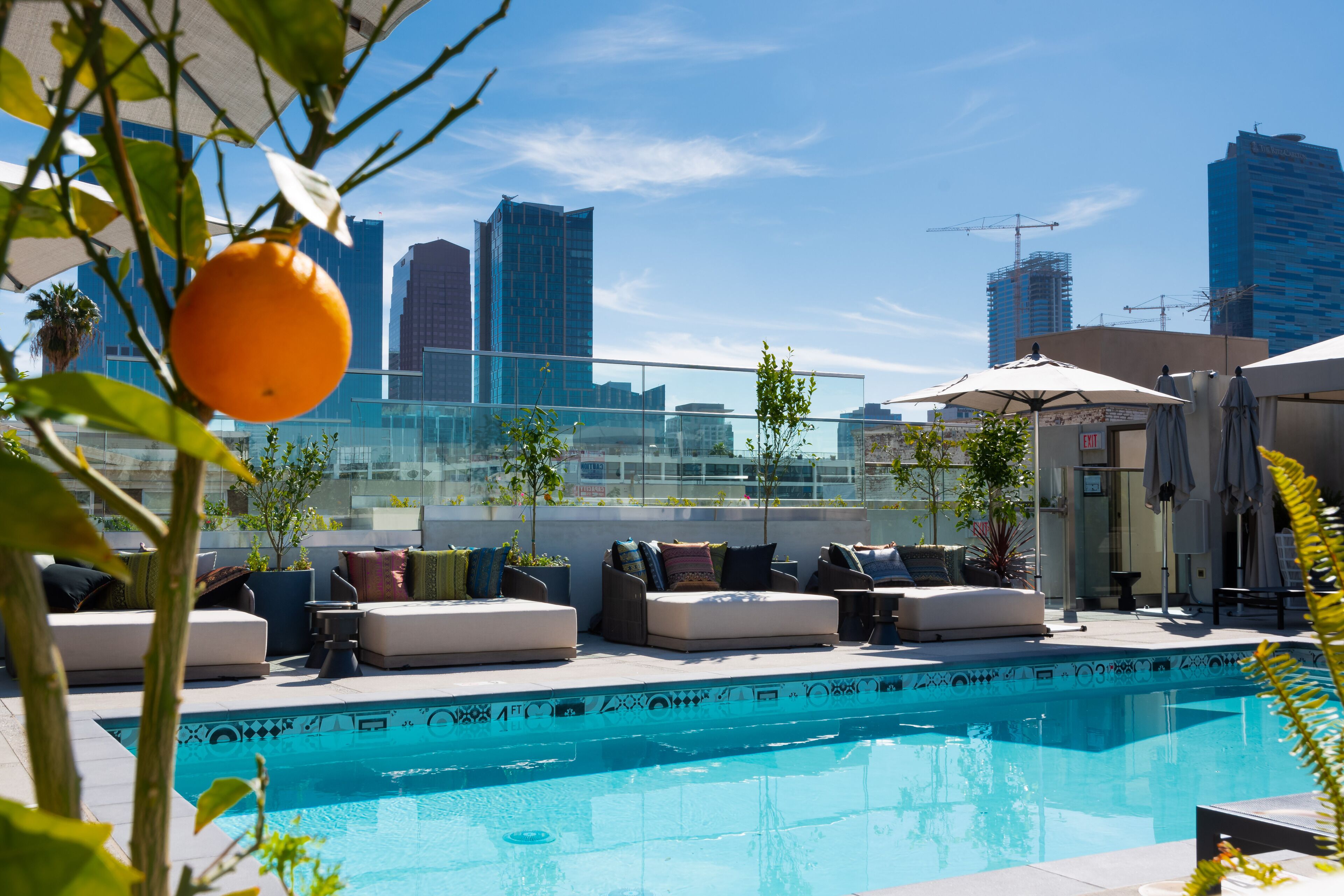 The Mayfair Hotel Los Angeles 2021 Room Prices Deals Reviews Expedia Com