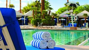 Seasonal outdoor pool, sun loungers